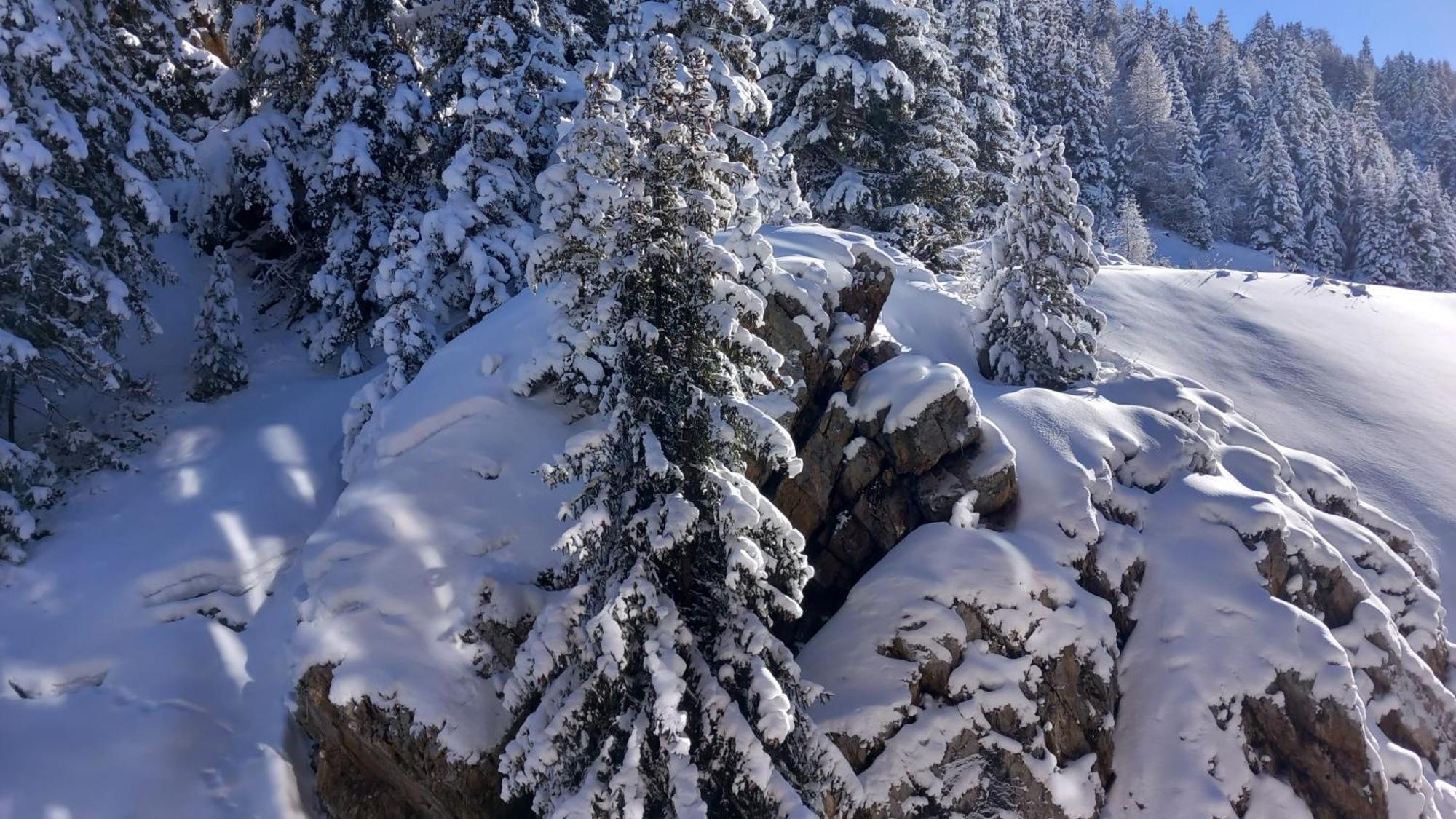 Plagne Bellecote * La Plagne